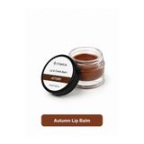 miseca Autumn Nemlendirici ve Besleyici Renkli Dudak Balmı 10 ml