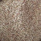 Mısır Koçan Granülü Kuş Kafes Altlığı 5 Kg