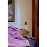 Mislina Home Paw Wellsoft Kedi Köpek Battaniyesi 100X100 cm Lila - 100 x 100 cm