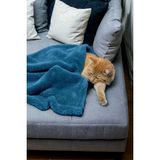 Mislina Home Paw Wellsoft Kedi Köpek Battaniyesi 100X100 cm Petrol Mavisi - 100 x 100 cm