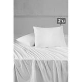 Mislina Home Terry Cotton Pamuklu 2li Kapaklı Sıvı Su Geçirmez Yastık Koruyucu Alezi 50x70 cm