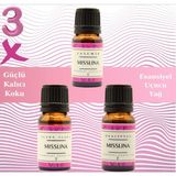 Miss Lina Yasemin,okaliptus,ylang Saf Esansiyel Uçucu Yağ Buhurdanlık Yağı Difüzör Esansı Aromaterapi 3x 10ML - 3 adet