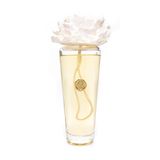 MİSSİ 400 ml Konik Cam Şişe Ekru Seramik Taşlı Oud Vanilya Oda Kokusu
