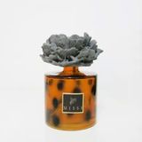Missi 500 ml Kahverengi Leopar Desenli Cam Şişe Seramik Taşlı Dark Amber Oda Kokusu