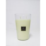MİSSİ BÜYÜK CAM VAZO PATCHOULI KOKULU VEGAN MUM(H:20 CM)