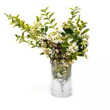 MİSSİ Diamond Cam Vazo/Mumluk (17 cm)