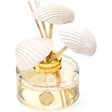 MİSSİ Marin 150 ml İstiridye Kabuğu Seramik Taş Bambu Çubuklu Aqua Mediterian Oda Kokusu