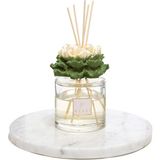 Missi Parlak Sırlı Taş Nilüfer Zarafeti Çubuklu Oda Kokusu 500 Ml- White Jasmine - Yeşil - 1