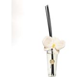 Missi Parlak Sırlı Taş Orkide Inceliği Çubuklu Oda Kokusu 400 ml –black Vanilya - Şeffaf - 1