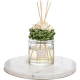 Missi Parlak Sırlı Taş Ortanca Zarafeti Çubuklu Oda Kokusu 500 Ml-Yasemin Sandal - Yeşil - 1
