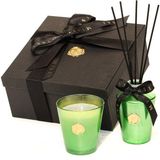 Missi Yılbaşı 130 ml Yeşil Golden Glow Apple& Cinnamon Oda Kokusu ve Vegan Mum Hediye Seti (Dekoratif Hediye Sıvama Kutulu) - 1 Adet