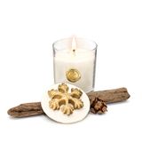 MİSSİ Yılbaşı Gold Kar Tanesi Seramik Taş Kapaklı Apple&Cinnamon Vegan Mum