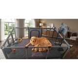 Missidea Brave Pause Köpek ve Kedi Doğum Evi – Oyun ve Dinlenme Alanı 120x180 Cm