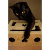 Mistikhane Kedi Tırnak Törpüsü ve Oyun Kutusu (L Model) - Doğal Ağaç, Ev Kedileri için
