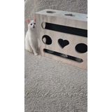 (Mistikhane) - Kedi Tırnak Törpüsü ve Oyun Kutusu ( O Model )