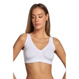 Mistirik Panax Model Sarkma Önleyici Korse Sütyen Dikişsiz Pedli, 2XL, BAX-PANAX1, BEYAZ, Kadın