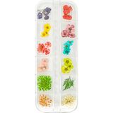 Misyul Tırnak Süsleme Kurutulmuş Gerçek Çiçek Nail Art Süsleme 3d Çiçek Model - K6