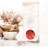Mitr Kalpli Tealight Mum - Seçenek