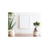 Mitra Clock 21x30 Fotoğraf Çerçevesi A4 Çerçeve Diploma Çerçevesi BEYAZ