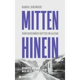 Mitten hinein: Vom Geheimnis Gottes im Alltag. Schritte auf dem Weg in die Stille