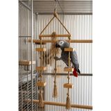 Mivra Pets Papağan Oyun Parkuru 80 cm Doğal Ahşap Kuş Oyuncağı 8 mm Jüt İp