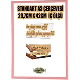 MİXEFOR A3 Çerçeve-Renk PEMBE Arka Yüzey 3mm Mdf-Ön yüzey Kırılmaz parlama yapmayan Antireflektif - 29,7 x 42 cm