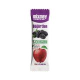 Mixmey 20 gr Böğürtlen Bar (12 adet)