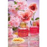 Mixup CocoBamboo Mystic Petals Saç Parfümü ( Hair EDP ) 100 ml | Hair Perfume