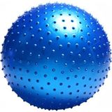 Miyang Dikenli Yoga Pilates Aeorobik Jimnastik Topu 55 CM Mavi