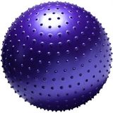 Miyang Dikenli Yoga Pilates Aeorobik Jimnastik Topu 55 CM Mor
