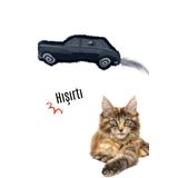 Miyav Peluş Araba Kedi Oyuncağı Hışırtılı Sesli ve Tüylü Kedi Oyuncağı