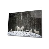 Miyrem Beyaz Kurt Cam Tablo 30X45- myremNM100