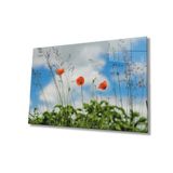 Miyrem Gelincik Çiçeği Cam Tablo Poppy Flower 36x23- myrm4974