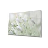 Miyrem Kardelen Çiçeği Cam TabloSnowdrop Flower 110X70- myrm5024