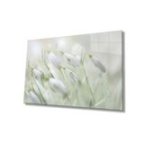 Miyrem Kardelen Çiçeği Cam TabloSnowdrop Flower 36x23- myrm5022