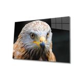 Miyrem Kartal Cam Tablo 36x23- myrm1662