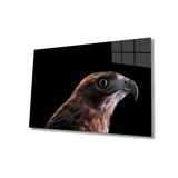 Miyrem Kartal Hayvan Cam Tablo 30X45- myremNM454
