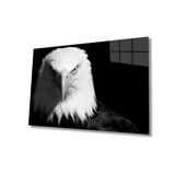 Miyrem Kartal Hayvan Cam Tablo 30X45- myremNM478
