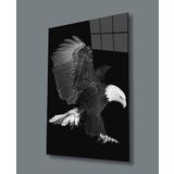 Miyrem Kartal Hayvan Cam Tablo 50X70- myremNM384