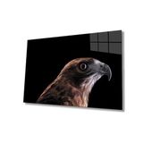Miyrem Kartal Hayvan Cam Tablo 50X70- myremNM454