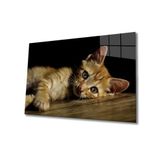 Miyrem Kedi Cam Tablo 36x23- myrm1610