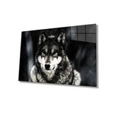 Miyrem Kurt Hayvan Cam Tablo 30X45- myremNM431