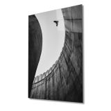 Miyrem Siyah Beyaz Kartal Cam Tablo 72X46- myrm295