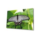 Miyrem Yeşil Yaprak Siyah Kelebek Hayvan Cam Tablo 36x23- myrm10418