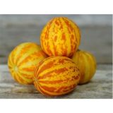 MMT Plum Granyy Cep Kavunu Tohumu (10 Tohum) - 10 Adet
