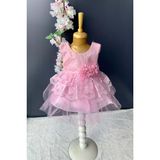 Mnk Baby Kat Dantelli Gül Motif Kız Bebek Elbise PNPN159 - 6 Ay - Pembe