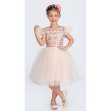 Mnk Baby & Kids Küpeli Pul Payet Tüllü Kız Çocuk Elbise MNK0526 - Somon - 7 Yaş