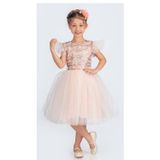 Mnk Baby&Kids Tüllü Kız Çocuk KPL Elbise SOMON MNK0526