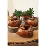 Mobgift Kaktüs ve Succulentler Için El Yapımı 3'lü Fındık Tasarım Mini Saksı