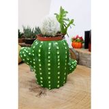 Mobgift Kaktüs ve Succulentler Için El Yapımı Kaktüs Tasarım Minnoş Saksı